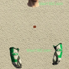 C2