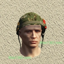 Woodland Combat Helmet
