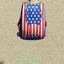 USA Chute Bag