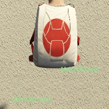 C2