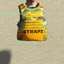 C2