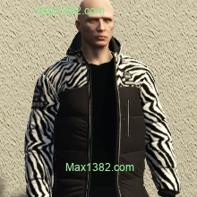 Zebra Bigness Puffer