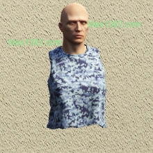 Blue Digital Sleeveless Crop
