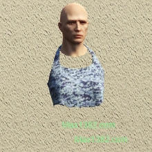 C2