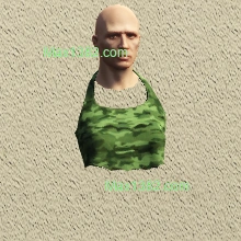 223-20
