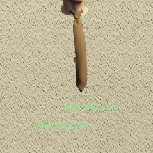 C2