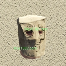 Modernist Paper Bag