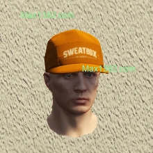 C1
