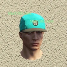 C1